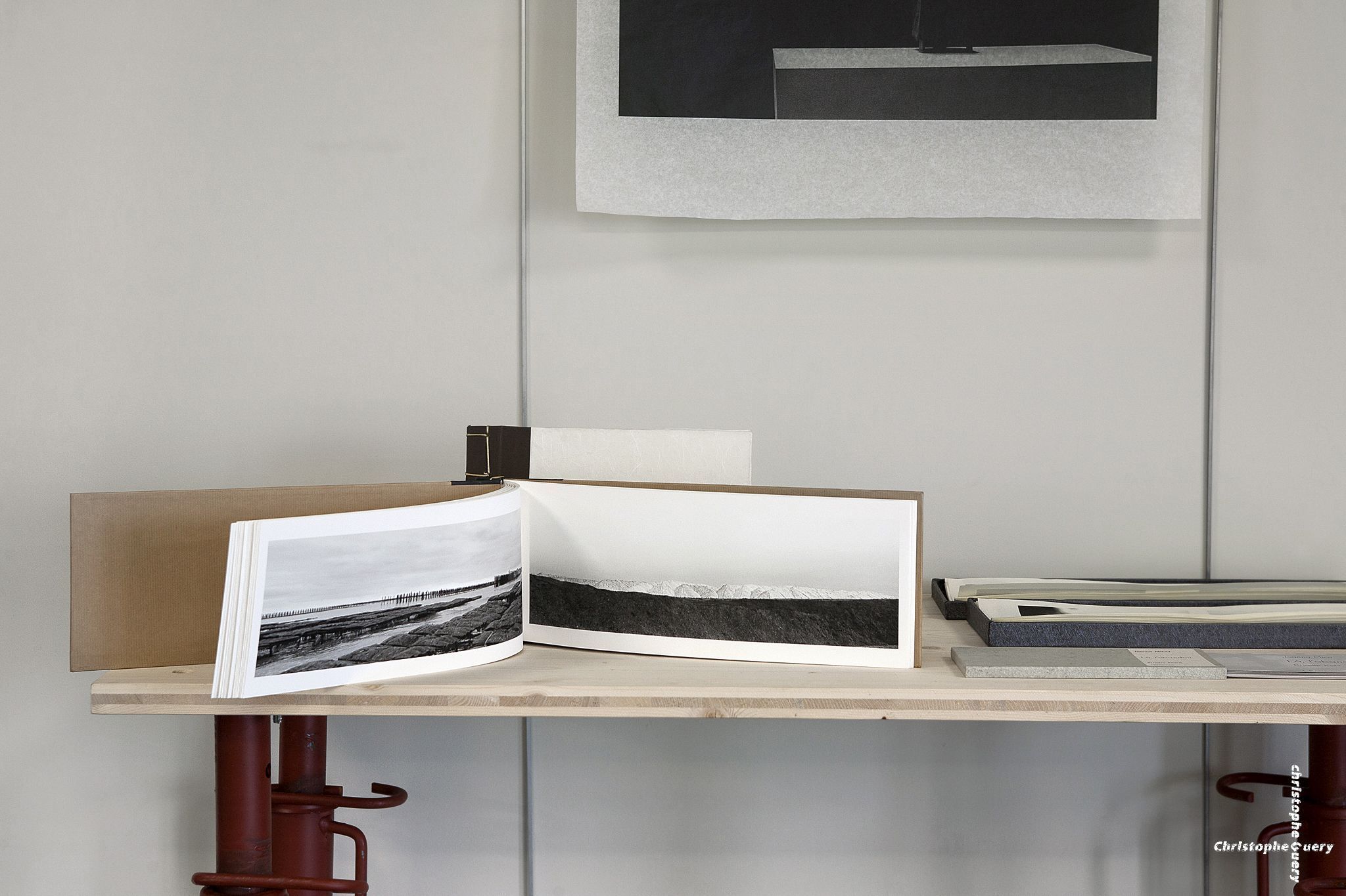 L'artiste et le Livre