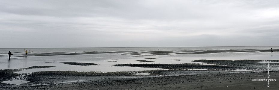 JOUR DE PÊCHE